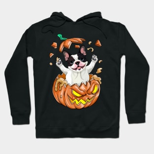 Boston Terrier In The Pumpkin tshirt halloween costume funny gift t-shirt Hoodie